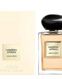 gardenia-antigua
